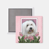 Moederdag - Roze Tulpen - Coton de Tulear Magneet (Voorkant / Achterkant)