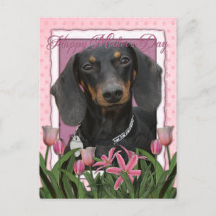 Moederdag - Roze Tulpen - Dachshund - Winston Briefkaart