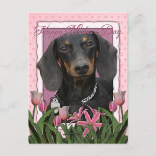 Moederdag - Roze Tulpen - Dachshund - Winston Briefkaart (Voorkant)