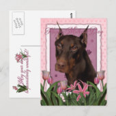 Moederdag - Roze Tulpen - Doberman - Rood - Rakkel Briefkaart (Voorkant / Achterkant)