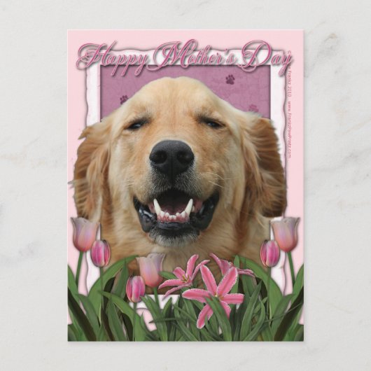Moederdag - Roze Tulpen - Golden Retriever Briefkaart (Voorkant)
