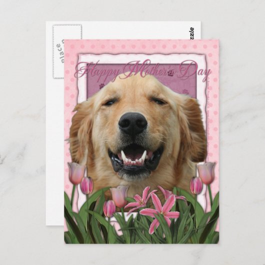 Moederdag - Roze Tulpen - Golden Retriever Briefkaart (Voorkant / Achterkant)