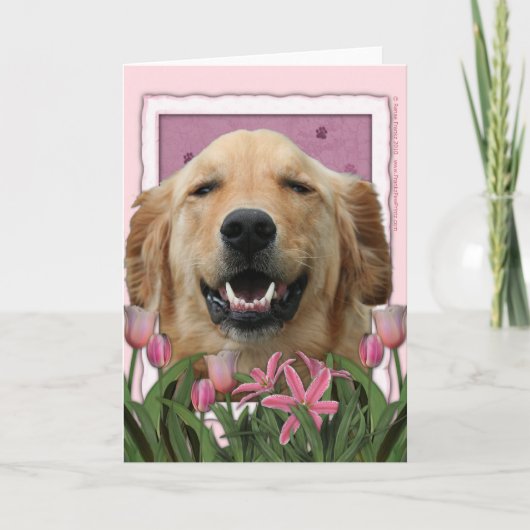 Moederdag - Roze Tulpen - Golden Retriever Kaart (Voorkant)