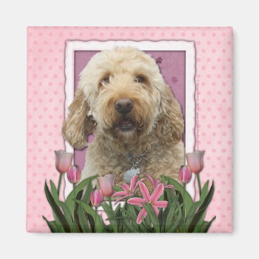 Moederdag - Roze Tulpen - Goldendoodle Magneet (Voorkant)