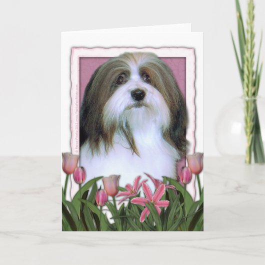 Moederdag - Roze Tulpen - Havanese Kaart (Voorkant)