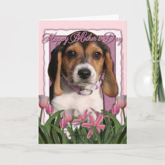 Moederdag - Roze Tulpen - het Puppy van de Brak Kaart (Voorkant)