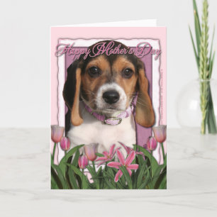 Moederdag - Roze Tulpen - het Puppy van de Brak Kaart