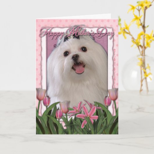 Moederdag - Roze Tulpen - Maltees Kaart (Gele Bloem)