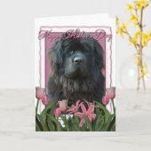 Moederdag - Roze Tulpen - Newfoundland Kaart (Gele Bloem)
