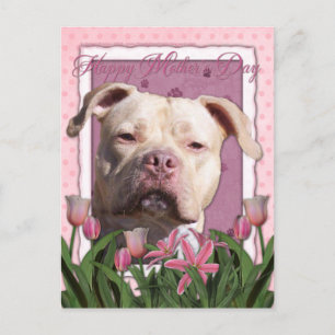 Moederdag - Roze Tulpen - Pitbull - Jersey Girl Briefkaart