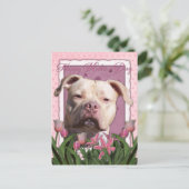 Moederdag - Roze Tulpen - Pitbull - Jersey Girl Briefkaart (Staand voorkant)