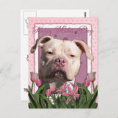 Moederdag - Roze Tulpen - Pitbull - Jersey Girl Briefkaart (Voorkant / Achterkant)