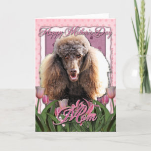 Moederdag - Roze Tulpen - Poedel - Chocolade Kaart