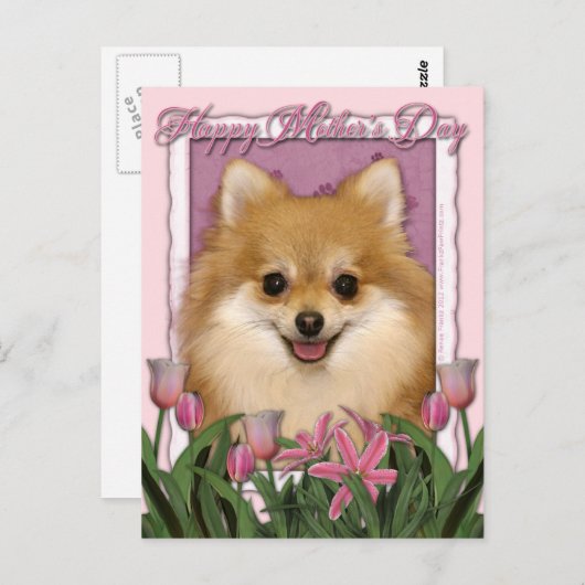 Moederdag - Roze Tulpen - Pommerse Briefkaart (Voorkant / Achterkant)