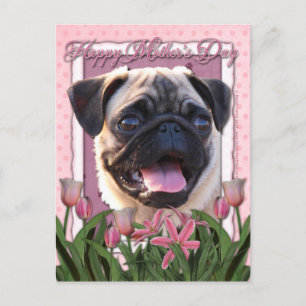 Moederdag - Roze Tulpen - Pug Briefkaart