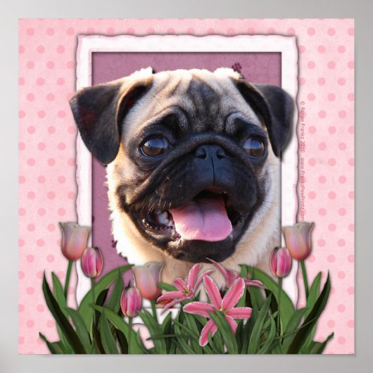 Moederdag - Roze Tulpen - Pug Poster (Voorkant)