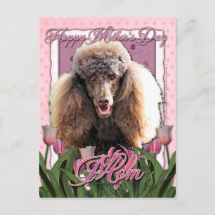 Moederdag - Roze Tulpen - Roestel - Chocolade Briefkaart