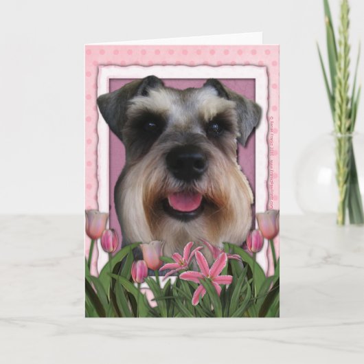 Moederdag - Roze Tulpen - Schnauzer Kaart (Voorkant)