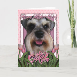 Moederdag - Roze Tulpen - Schnauzer Kaart