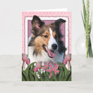 Moederdag - Roze Tulpen - Sheltie Kaart