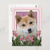 Moederdag - Roze Tulpen - Shiba Inu Briefkaart (Voorkant / Achterkant)