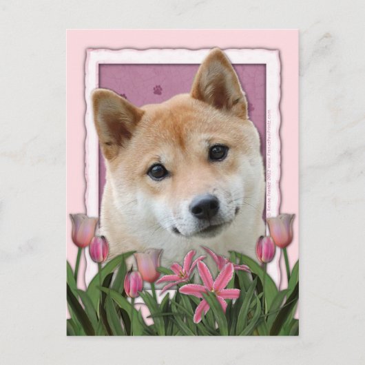 Moederdag - Roze Tulpen - Shiba Inu Briefkaart (Voorkant)