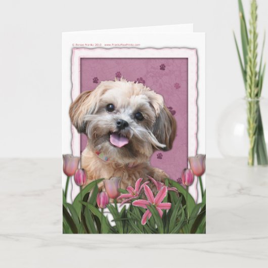 Moederdag - Roze Tulpen - ShihPoo - Maggie Kaart (Voorkant)