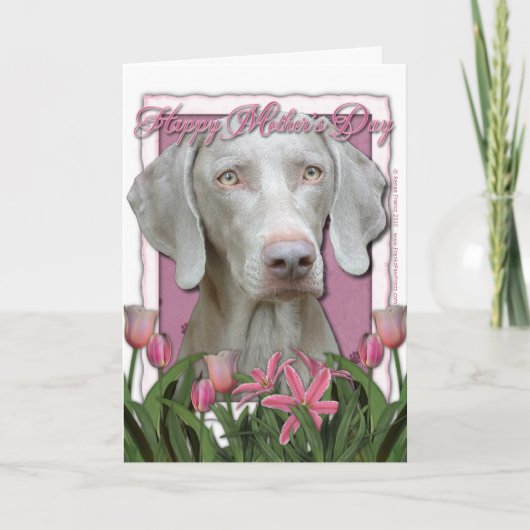 Moederdag - Roze Tulpen - Weimaraner - Gouden Ogen Kaart (Voorkant)