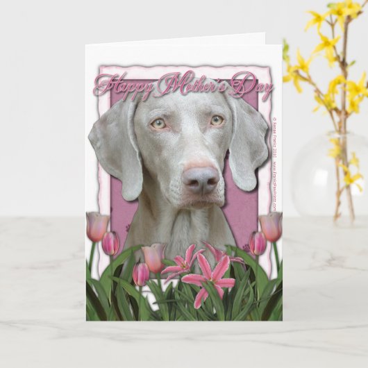 Moederdag - Roze Tulpen - Weimaraner - Gouden Ogen Kaart (Gele Bloem)