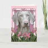 Moederdag - Roze Tulpen - Weimaraner - Gouden Ogen Kaart (Voorkant)