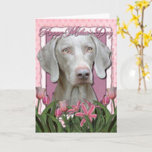 Moederdag - Roze Tulpen - Weimaraner - Gouden Ogen Kaart (Gele Bloem)