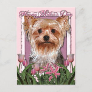 Moederdag - Roze Tulpen - Yorkshire Terrier Briefkaart