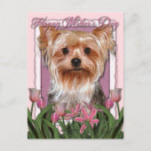 Moederdag - Roze Tulpen - Yorkshire Terrier Briefkaart (Voorkant)