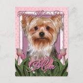 Moederdag - Roze Tulpen - Yorkshire Terrier Briefkaart (Voorkant)