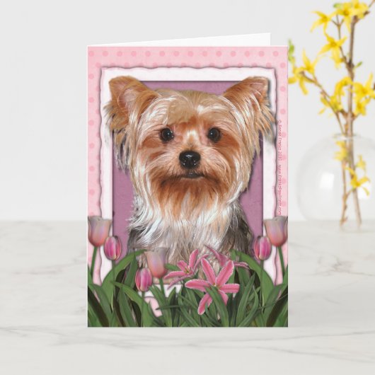 Moederdag - Roze Tulpen - Yorkshire Terrier Kaart (Gele Bloem)
