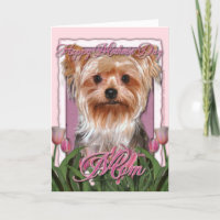 Moederdag - Roze Tulpen - Yorkshire Terrier