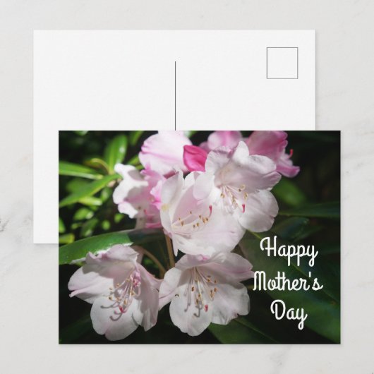 Moederdag Sakura Cherry Blossom #2 Briefkaart (Voorkant / Achterkant)