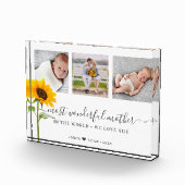 Moederdag Script meest fantastische moeder Fotoblokken (Rechts)