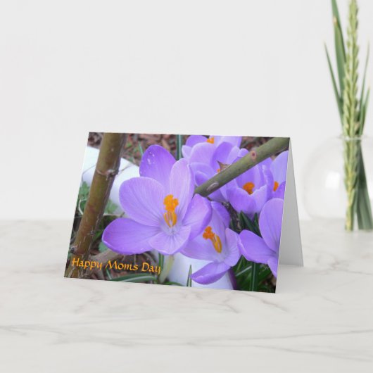 Moederdag Spring Kaart (Voorkant)