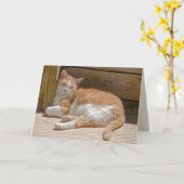 Moederdag Tabby Cat Nap Kaart (Gele Bloem)