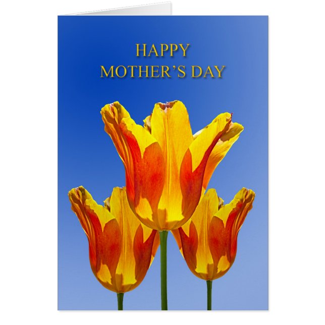 Moederdag, tulpen vol met zonneschijn (Voorkant)
