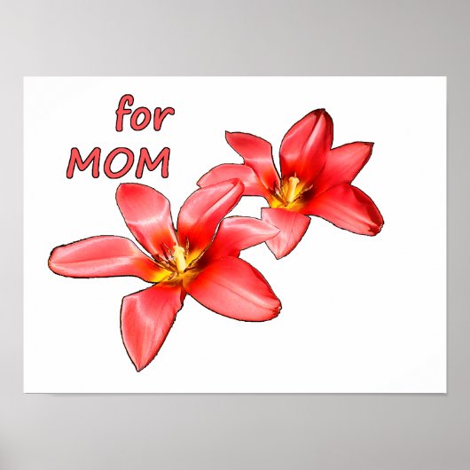 Moederdag - Tulpen voor mama - Illustratie |  Poster (Voorkant)