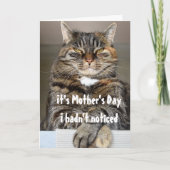 Moederdag van de kat Funny Cute Kaart (Voorkant)