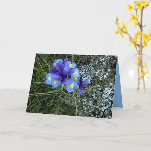 Moederdag van de man kaart (Gele Bloem)