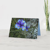 Moederdag van de man kaart (Voorkant)