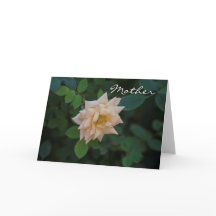 Moederdag vanille roos