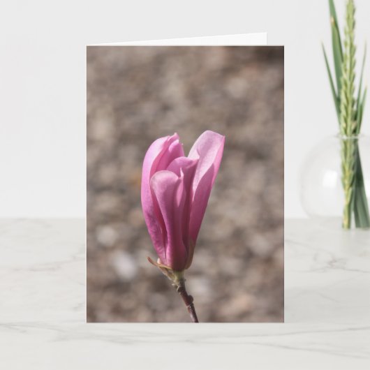 Moederdag ventilator kaart (Voorkant)