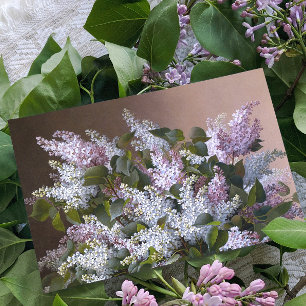 Moederdag Vintage Lilacs Kaart