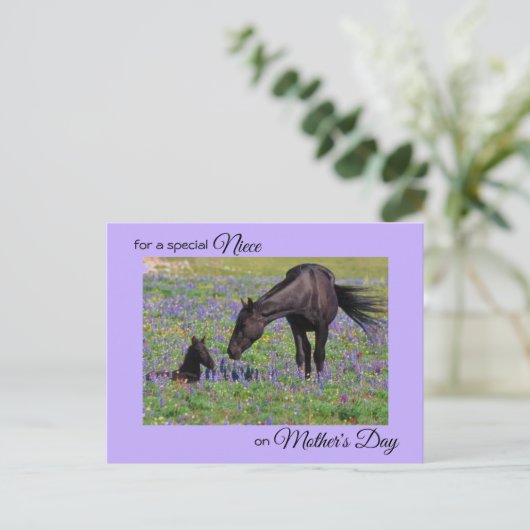 Moederdag voor Niece Mare & Veulen Foto Briefkaart (Staand voorkant)