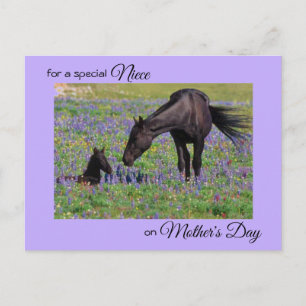 Moederdag voor Niece Mare & Veulen Foto Briefkaart
